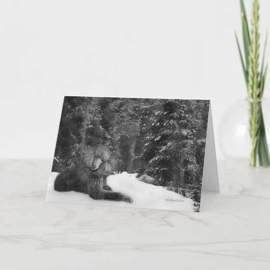 De standaard kaart van de Poedel (Voorkant)