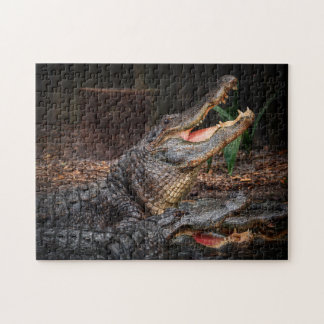 De Standoff Legpuzzel