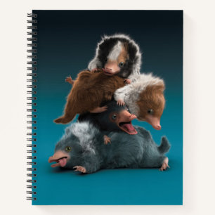 De Stapel van het baby NIFFLER™ Notitieboek