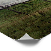 De Star Barn Poster (Hoek)