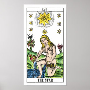De Star Tarot-Kaart Poster