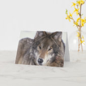 De Starende blik van de wolf Kaart (Gele Bloem)