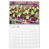De stedelijke Rustieke Kalender van de Muur van de (Jan 2027)