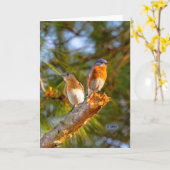 De Steen van de Kaart van de Vrijage van 040 (Gele Bloem)