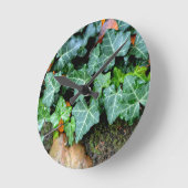 De steen van de klimop en van het gebied ronde klok (Hoek)