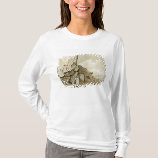 De steen van Quang-Yin T-shirt (Voorkant)