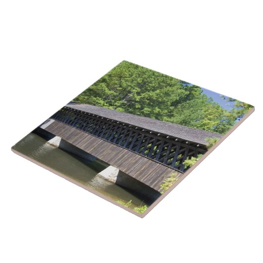 De steenberg bedekte brug bij Stone Tegeltje (Zijkant)