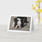 De Steenbolken van Howie Kaart (Gele Bloem)