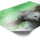 De Steer Peeks over het hek Foto Afdruk (Hoek)