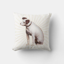 De stem van zijn meester zonneschijn