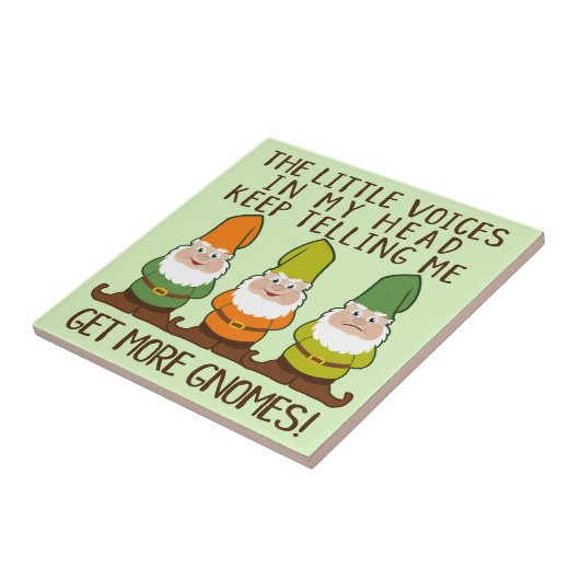 De stemmen krijgen meer gnomen tegeltje (Zijkant)