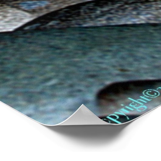 De stenen die je draagt poster (Hoek)