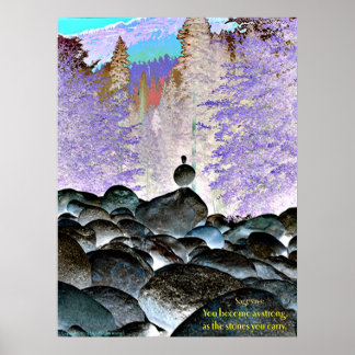 De stenen die je draagt poster