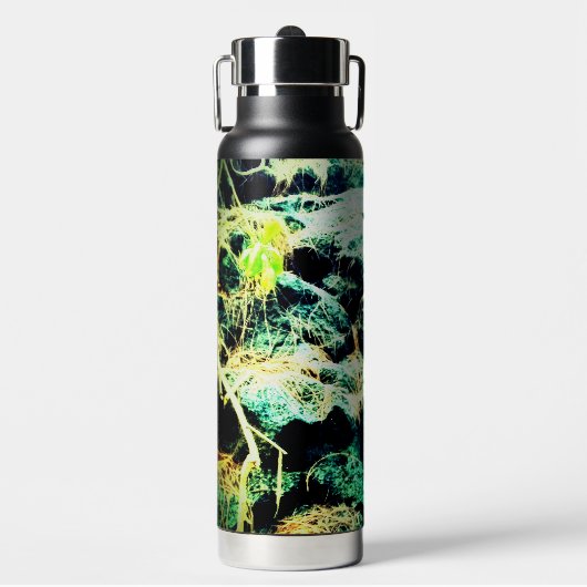 De stenen, waterfles (Voorkant)