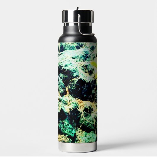 De stenen, waterfles (Links)