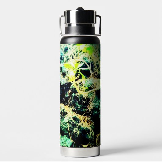 De stenen, waterfles (Achterkant)