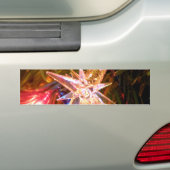 De Ster van Kerstmis Bumpersticker (Op auto)