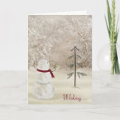 De Ster van Kerstmis Feestdagen Kaart (Voorkant)