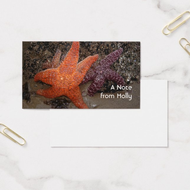 De Sterren van de zeester/van het Zee, het Strand Visitekaartjes (Kantoor)