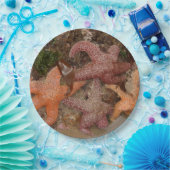 De Sterren van de zeester/van het Zee in het Papieren Bordje (Feest)