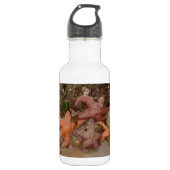 De Sterren van de zeester/van het Zee in het Waterfles (Voorkant)