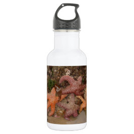 De Sterren van de zeester/van het Zee in het Waterfles