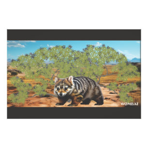 De stevige knuffelwombat foto afdruk