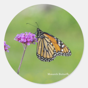 De sticker van de Vlinder van de monarch