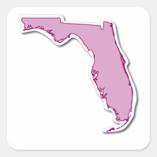 De Sticker van het Overzicht van Florida