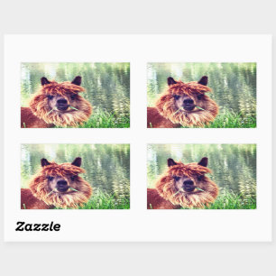 De Stickers van de alpaca