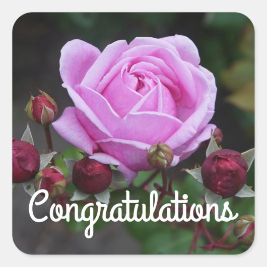 De Stickers van het Castle Roos#1 van de Bisschop (Voorkant)