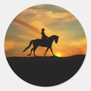 De Stickers van het Paard en van de Ruiter van de