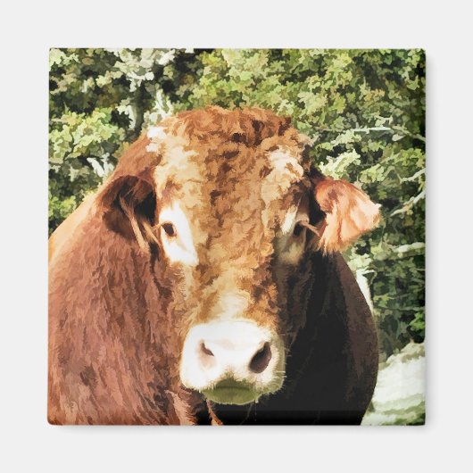 DE STIER MAGNEET (Voorkant)