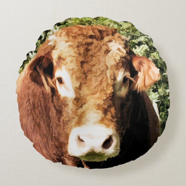 DE STIER ROND KUSSEN (Voorkant)