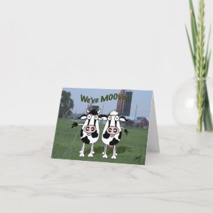 De stier van de koe diende een nieuwe adresaankond aankondiging