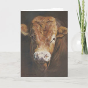 De Stier van Limousin Kaart