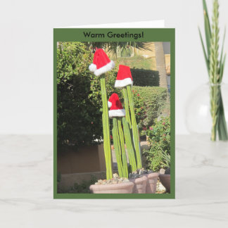 De Stijl van Arizona van Kerstmis! Feestdagen Kaart