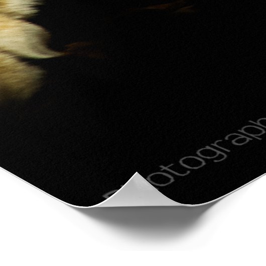 De stijlvolle vormgeving poster (Hoek)