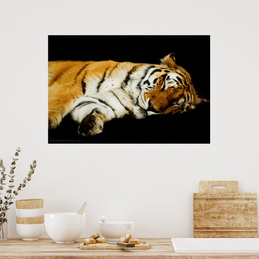 De stijlvolle vormgeving poster (Keuken)