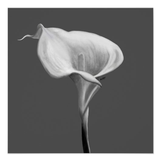 De Stille Bloei — Zwarte & Witte Calla Lelie Perfect Poster (Voorkant)