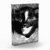 De stille waarnemer fotoblokken (Links)