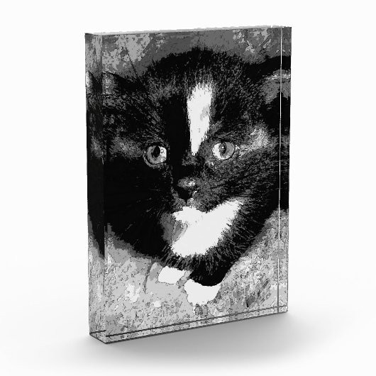 De stille waarnemer fotoblokken (Links)