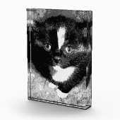 De stille waarnemer fotoblokken (Rechts)