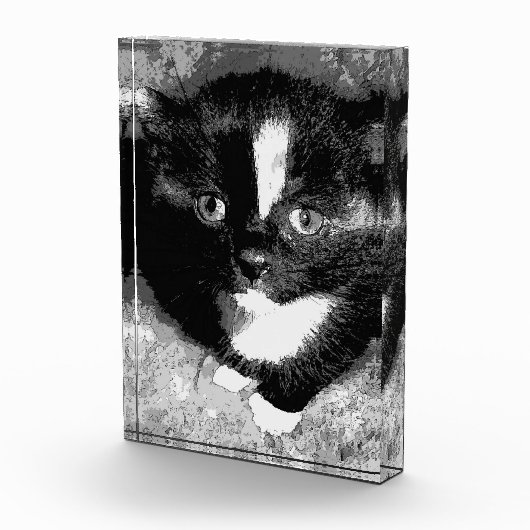 De stille waarnemer fotoblokken (Rechts)