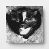 De stille waarnemer fotoplaat (Voorkant)