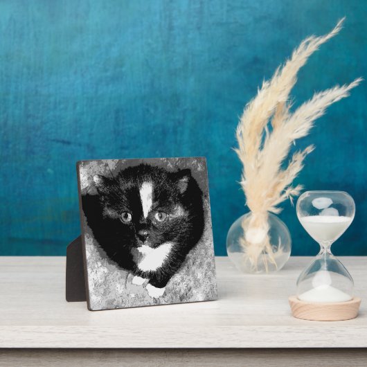 De stille waarnemer fotoplaat (Insitu)