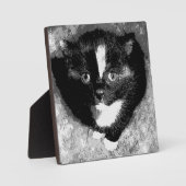 De stille waarnemer fotoplaat (Voorkant)