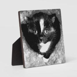 De stille waarnemer fotoplaat