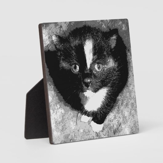 De stille waarnemer fotoplaat (Voorkant)