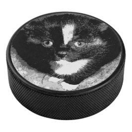 De stille waarnemer hockey puck